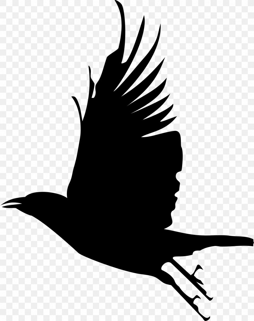 Bird Clip Art Silhouette Crow Image, PNG, 1893x2400px, Bird, Art, Beak, Cartoon, Common Raven Download Free