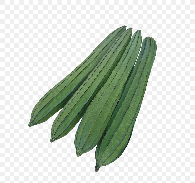 Luffa Cucumber F1 Hybrid Seed Symphony, PNG, 768x768px, Luffa, Commodity, Cucumber, Cucumber Gourd And Melon Family, F1 Hybrid Download Free
