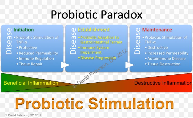 Probiotic Yakult Food Bacteria Side Effect, PNG, 1366x840px, Probiotic, Affect, Area, Bacteria, Brain Download Free