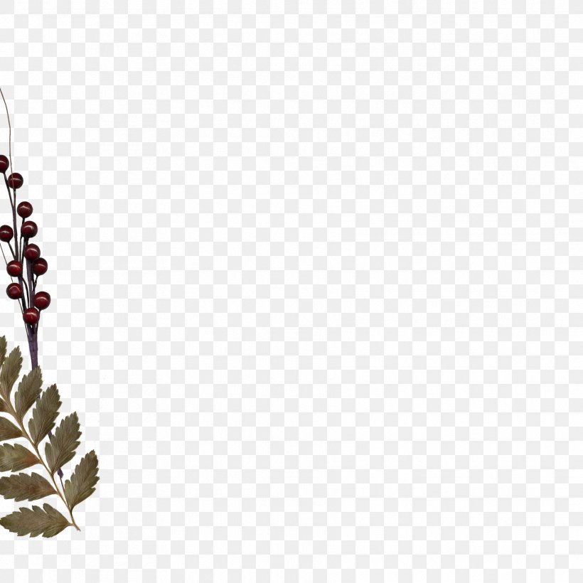 Leaf Twig Body Jewellery Pine, PNG, 1772x1772px, Leaf, Body Jewellery, Body Jewelry, Branch, Conifer Download Free