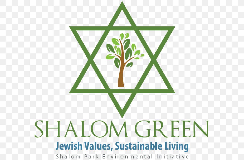 Logo Leaf Brand Jewish American Font, PNG, 597x539px, Logo, Americans, Area, Behavior, Brand Download Free
