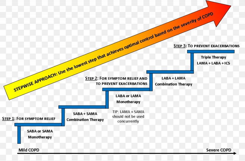 Chronic Obstructive Pulmonary Disease Pharmaceutical Drug Bronchodilator Therapy Asthma, PNG, 1230x812px, Pharmaceutical Drug, Area, Asthma, Brand, Bronchodilator Download Free