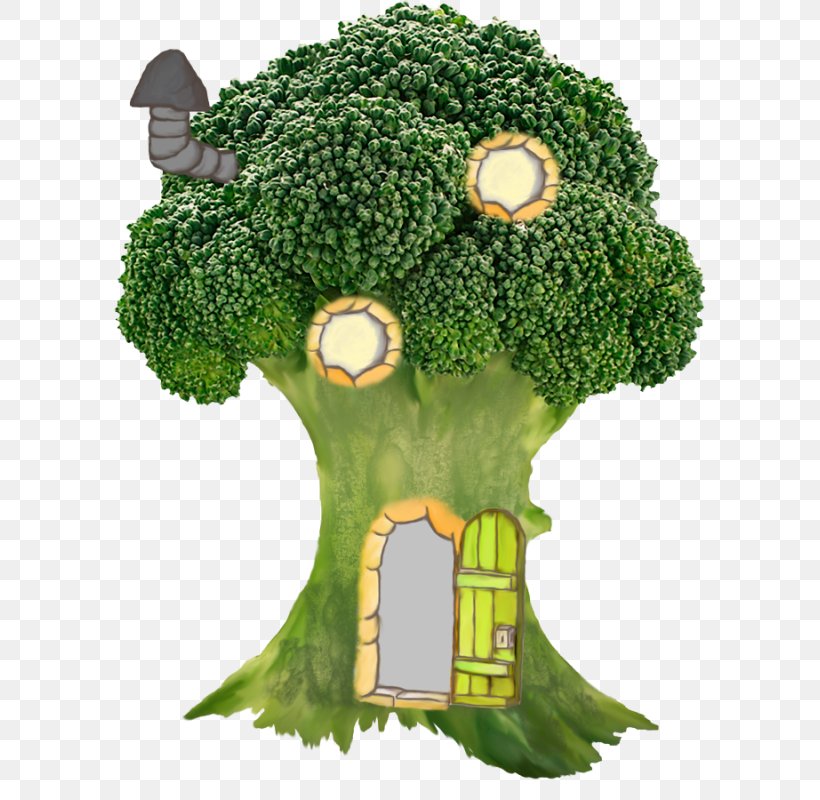 Clip Art Tree House Image, PNG, 592x800px, House, Broccoli, English Country House, Food, Grass Download Free