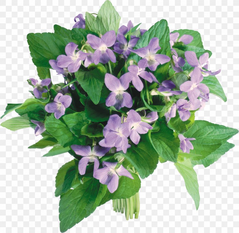 Flower Bouquet Violet Tulip, PNG, 2800x2734px, Flower, Annual Plant, Bellflower Family, Cut Flowers, Dahlia Download Free