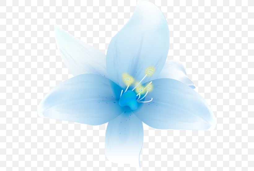 Flower Lilium Clip Art, PNG, 600x553px, Flower, Blue, Blue Rose, Flora, Flowering Plant Download Free
