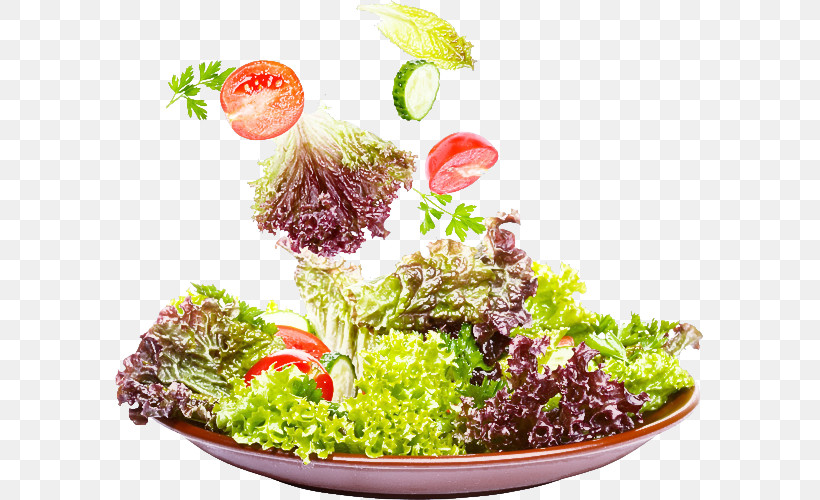 Salad, PNG, 589x500px, Vegetarian Cuisine, Broccoli, Cook, Garnish, Leaf Vegetable Download Free