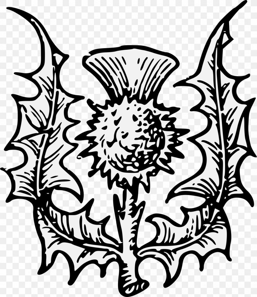 Scotland Complete Guide To Heraldry Thistle Onopordum Acanthium, PNG, 1134x1313px, Scotland, Artwork, Black And White, Charge, Coat Of Arms Download Free