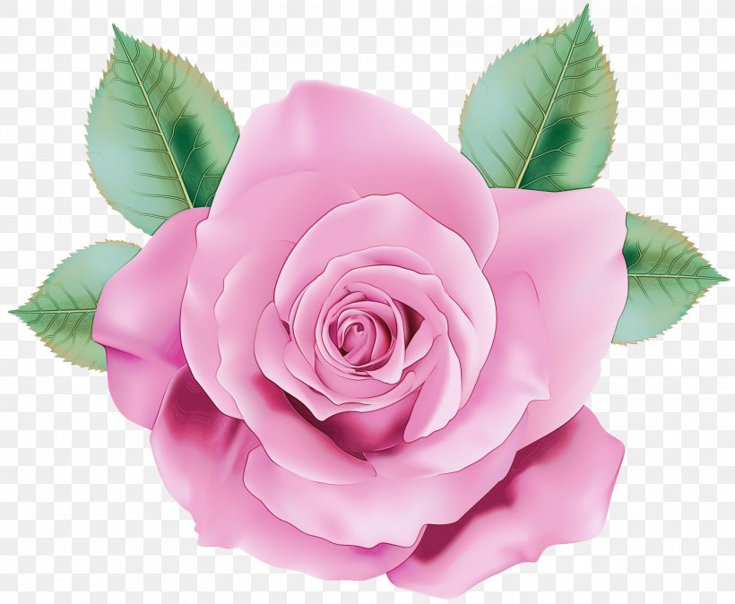 Watercolor Pink Flowers, PNG, 3000x2469px, Watercolor, Artificial Flower, Cabbage Rose, Cut Flowers, Floribunda Download Free
