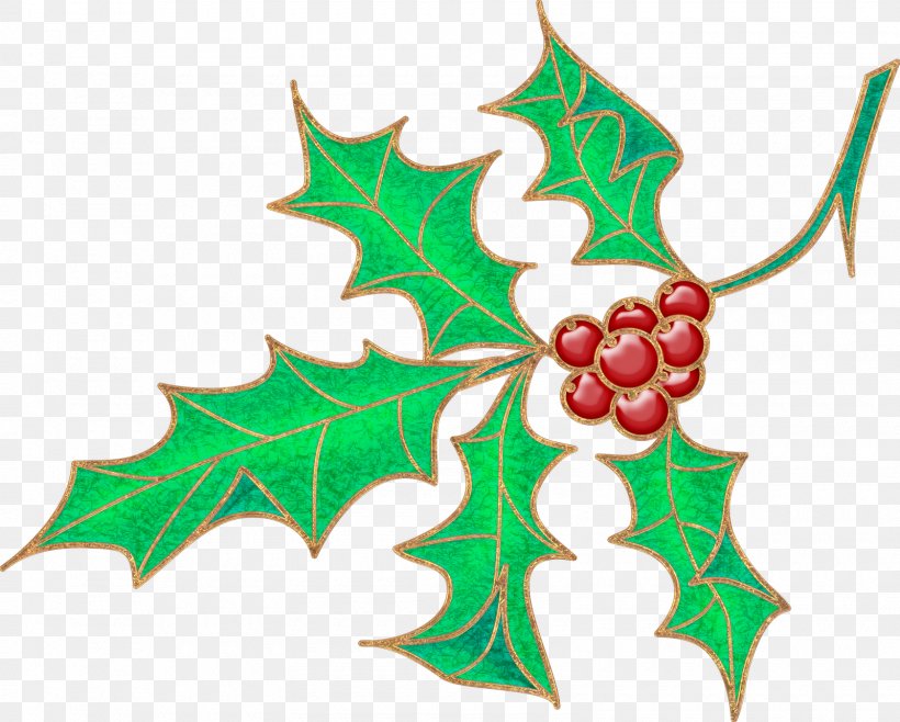 Holly Aquifoliales Christmas Ornament Clip Art, PNG, 1600x1285px, Holly, Aquifoliaceae, Aquifoliales, Branch, Branching Download Free