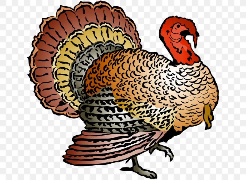 Turkey Meat Thanksgiving Clip Art, PNG, 639x600px, Turkey, Beak, Bird, Blog, Chicken Download Free