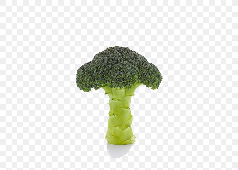 Cauliflower Vegetable Broccoli, PNG, 658x587px, Cauliflower, Broccoli, Cabbage, Designer, Flower Download Free