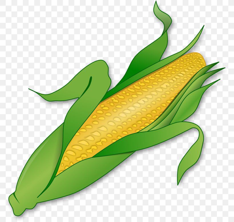 Corn On The Cob Maize Clip Art, PNG, 778x778px, Corn On The Cob, Commodity, Corncob, Food, Free Content Download Free