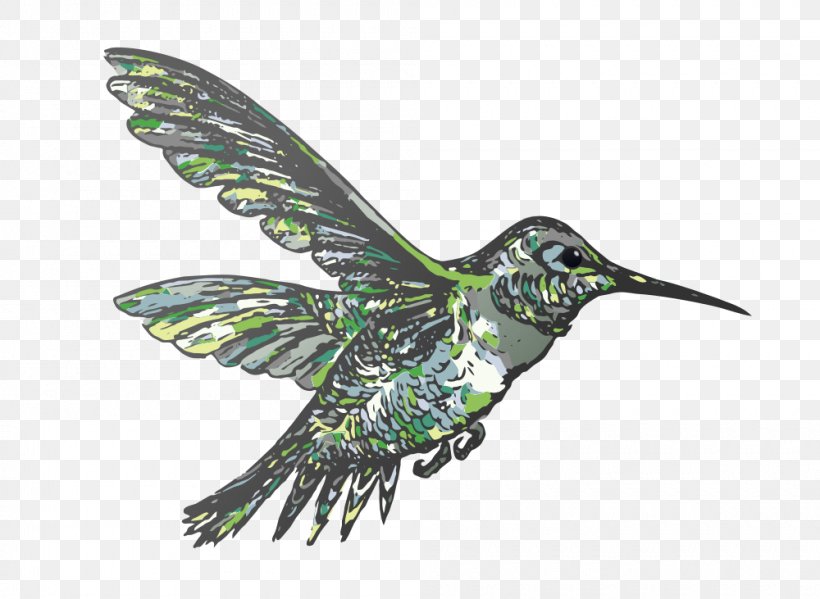 Hummingbird Clip Art, PNG, 1000x731px, Hummingbird, Beak, Bird, Cuculiformes, Drawing Download Free