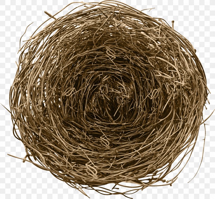 Nest, PNG, 1418x1315px, Nest, Beehive, Bird Nest, Chicken Coop, Egg Download Free