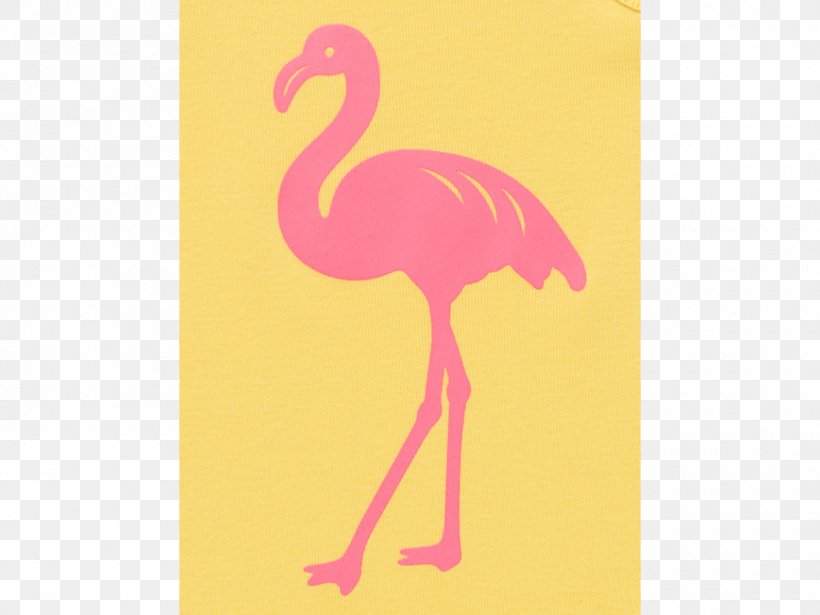 Pink M Beak Feather Flamingo, PNG, 960x720px, Pink M, Beak, Bird, Feather, Flamingo Download Free