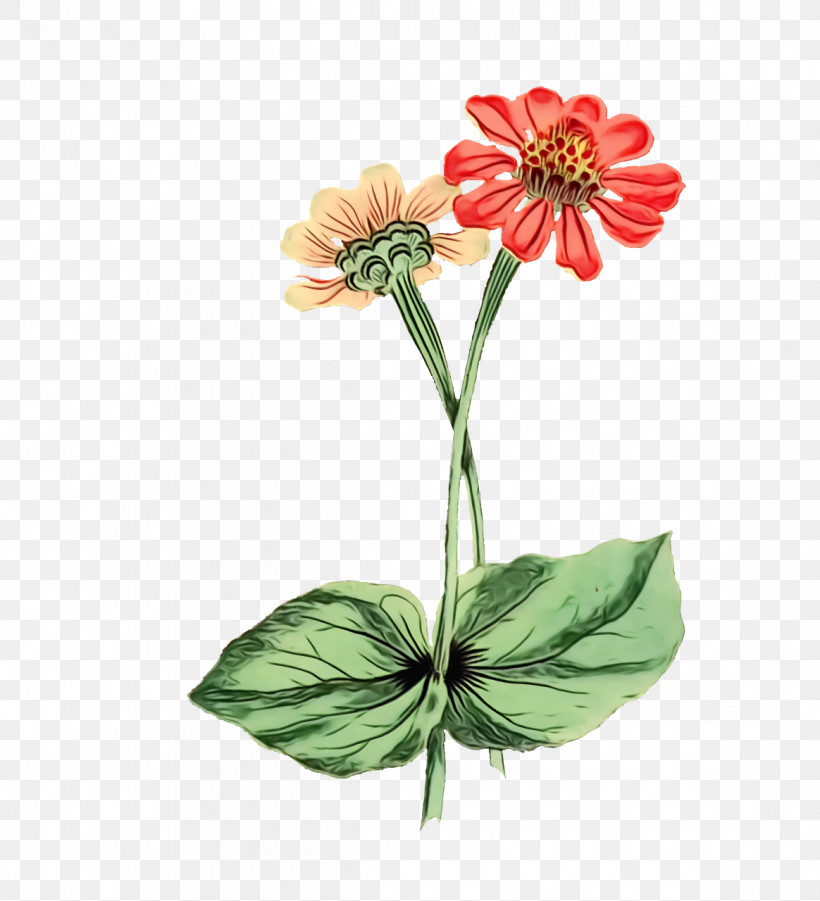 Plant Stem Cut Flowers Flowerpot Petal Herbaceous Plant, PNG, 1164x1280px, Watercolor, Biology, Cut Flowers, Flora, Flower Download Free