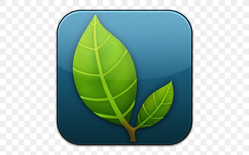 Plant Tennis Ball Leaf Football, PNG, 512x512px, Laptop, Apple, Ball, Dropbox, Football Download Free