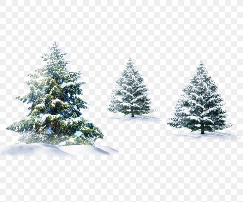 Polar Bear Christmas Tree Christmas Tree, PNG, 900x750px, Bear, Christmas, Christmas Decoration, Christmas Ornament, Christmas Tree Download Free