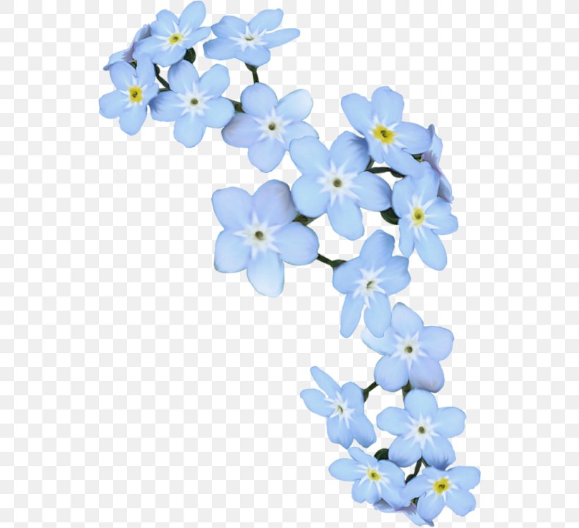 Scorpion Grasses Blue Artificial Flower Blume, PNG, 544x748px, Scorpion Grasses, Artificial Flower, Blossom, Blue, Blume Download Free