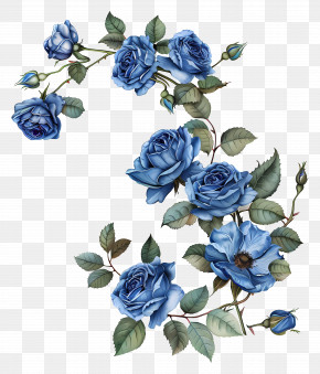 Blue Roses - Blue Roses On Vines In Illustration PNG