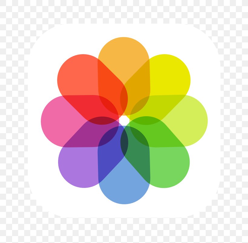 IOS 7 IOS 11 Apple Photos, PNG, 803x803px, Ios 7, App Store, Apple Photos, Flower, Ios 9 Download Free