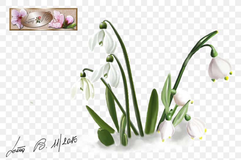 Cut Flowers Plant Floral Design Floristry, PNG, 850x567px, Flower, Art, Cut Flowers, Fairy, Fantasy Download Free