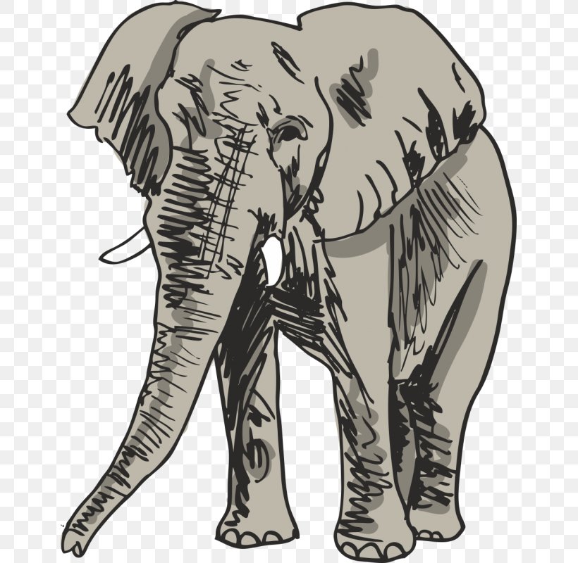 Drawing Elephant Royalty-free, PNG, 800x800px, Drawing, African Elephant, Art, Black And White, Can Stock Photo Download Free