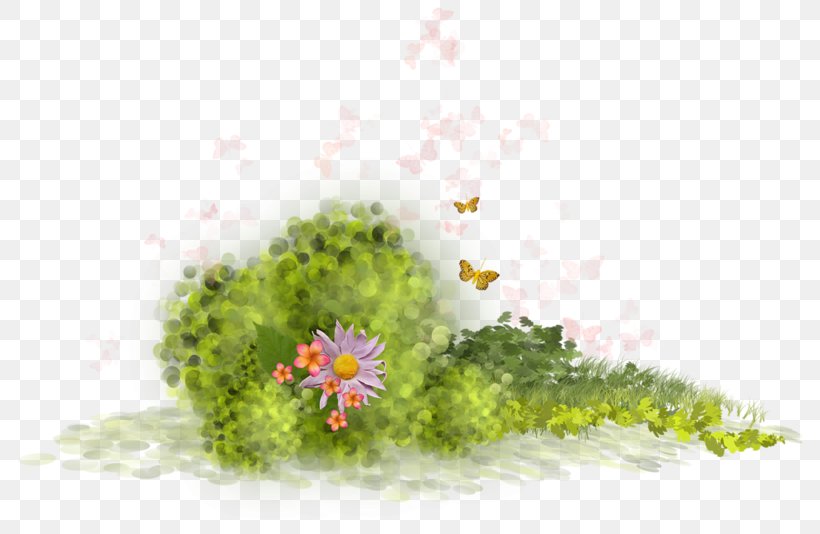 Floral Design Clip Art, PNG, 800x534px, Floral Design, Aquarium Decor, Ecosystem, Flora, Flower Download Free