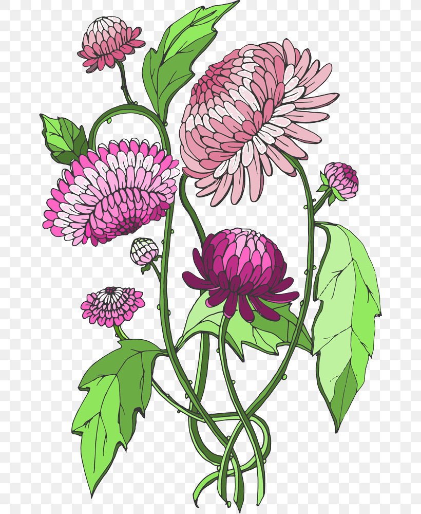 Flower Stock Illustration Illustration, PNG, 668x1000px, Flower, Annual Plant, Aster, Cartoon, Chrysanths Download Free