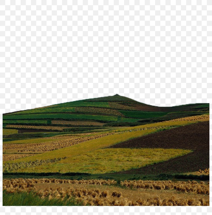 Hill Euclidean Vector Grade, PNG, 800x830px, Hill, Agriculture, Arable Land, Ecoregion, Farm Download Free