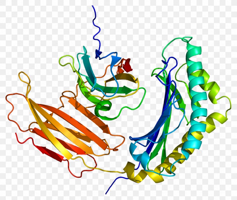 Prolactin-induced Protein Alpha-lactalbumin Casein, PNG, 1081x914px, Watercolor, Cartoon, Flower, Frame, Heart Download Free