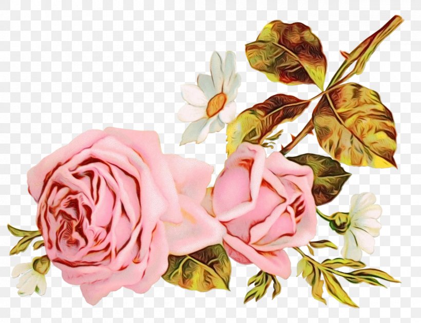 Garden Roses Shabby Chic Paper Decorative Borders Cabbage Rose, PNG, 1200x923px, Garden Roses, Artificial Flower, Botany, Bouquet, Bud Download Free