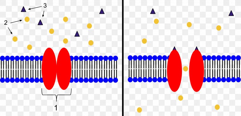 Ligand-gated Ion Channel Neuromuscular Junction ...