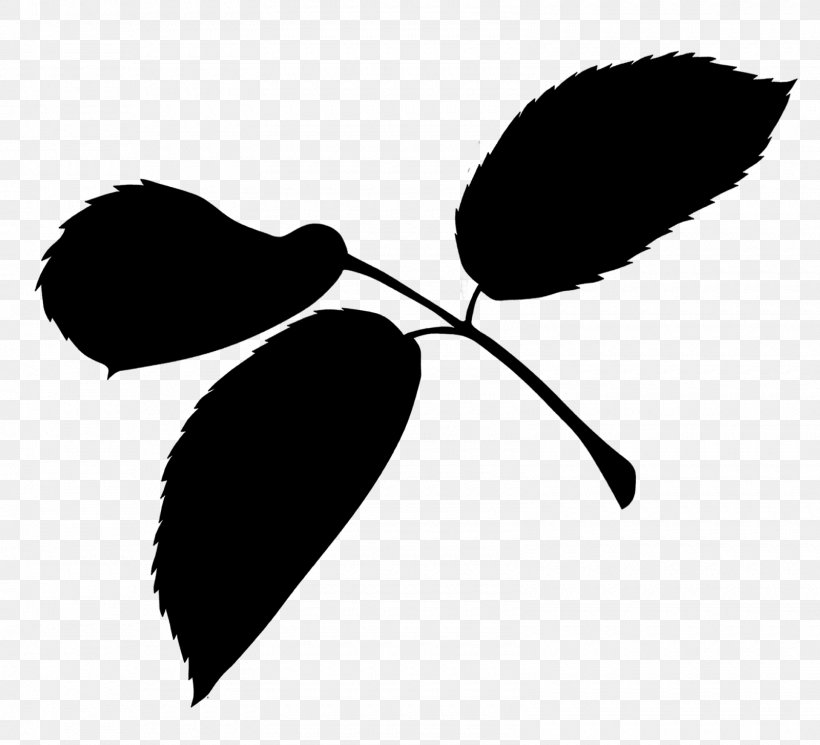 Plant Stem Clip Art Leaf Flower Silhouette, PNG, 1600x1454px, Plant Stem, Blackandwhite, Botany, Branch, Branching Download Free