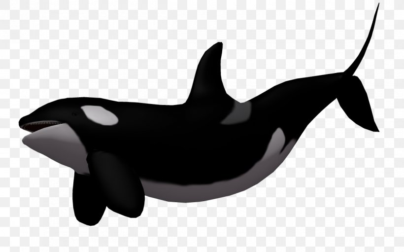 Baby Whale Killer Whale Clip Art, PNG, 1200x749px, Baby Whale, Beluga Whale, Black And White, Blue Whale, Dolphin Download Free
