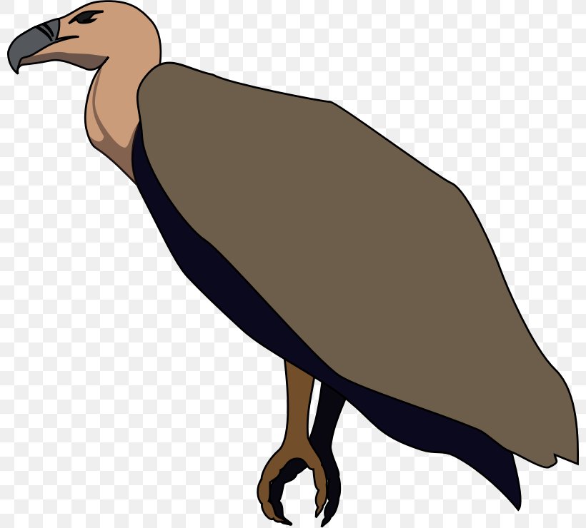 Beaky Buzzard Turkey Vulture Clip Art, PNG, 800x740px, Beaky Buzzard, Beak, Bird, Bird Of Prey, Buzzard Download Free