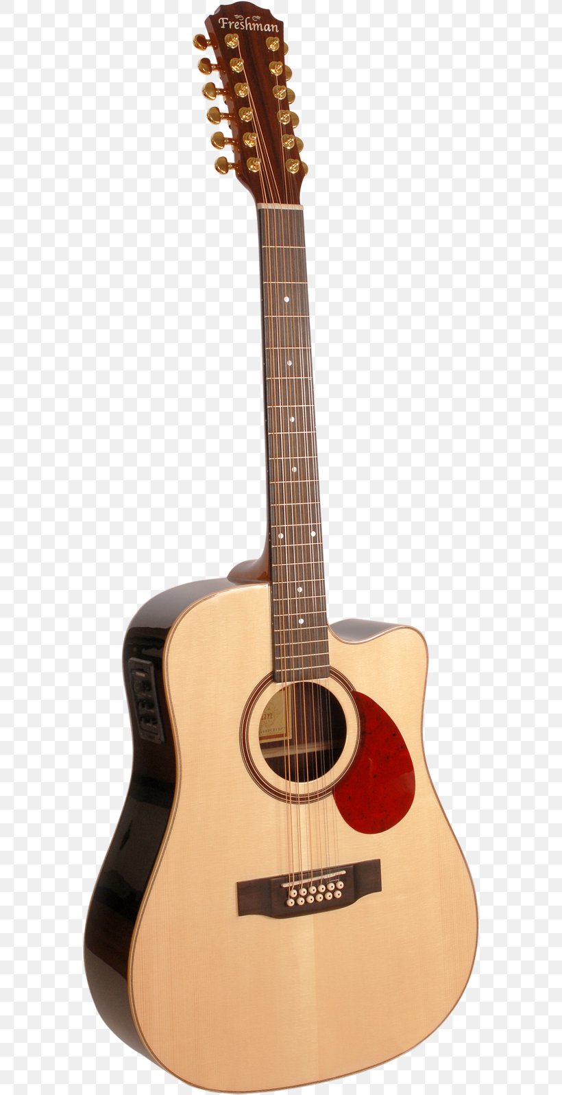 Cort Guitars Acoustic Guitar Twelve-string Guitar Acoustic-electric Guitar, PNG, 580x1596px, Watercolor, Cartoon, Flower, Frame, Heart Download Free