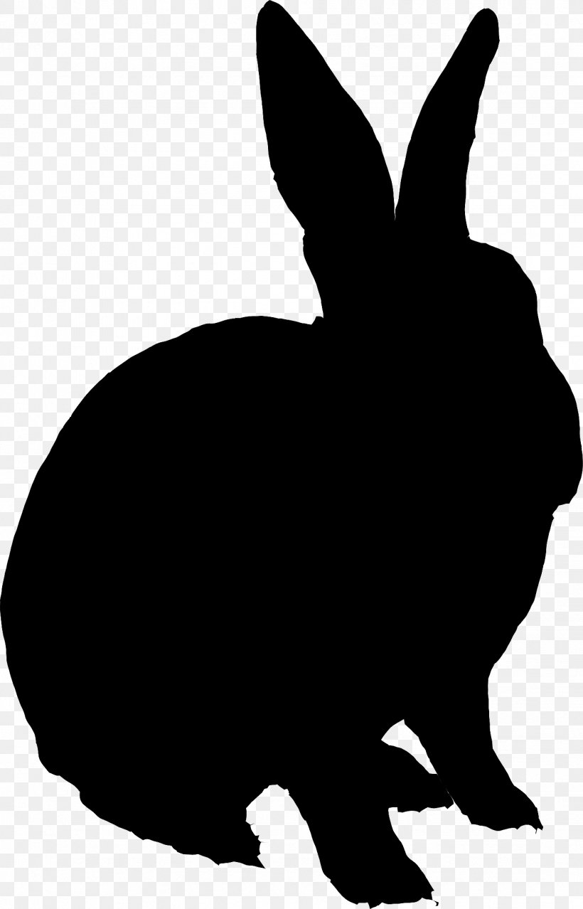Domestic Rabbit Foeke Sjoerdswei Hare Personal Trainer Location, PNG, 1329x2072px, Domestic Rabbit, Blackandwhite, Fitness Centre, Hare, Leeuwarden Download Free