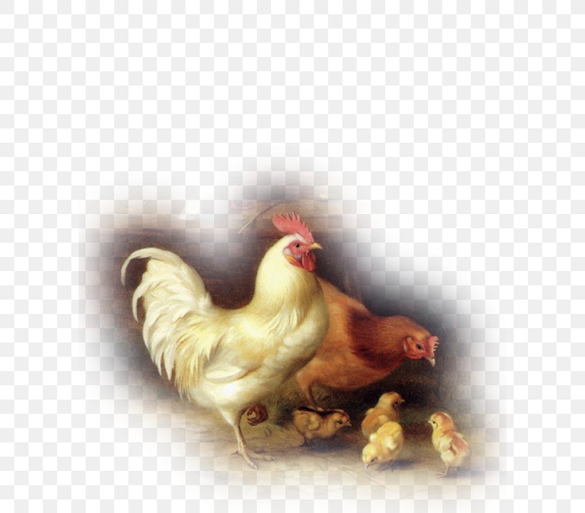 Rooster Chicken Oil Painting Artist, PNG, 600x719px, Rooster, Art, Artist, Beak, Bird Download Free