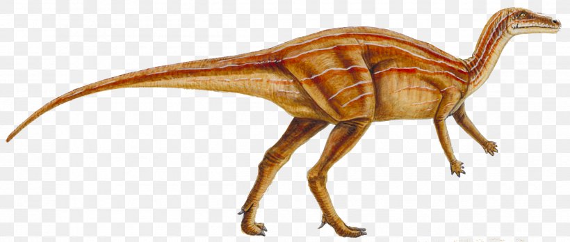 Velociraptor Orodromeus Lambeosaurus Reptile Late Cretaceous, PNG, 2524x1072px, Velociraptor, Acrocanthosaurus, Cretaceous, Dinosaur, Dinosaur Pictures Download Free