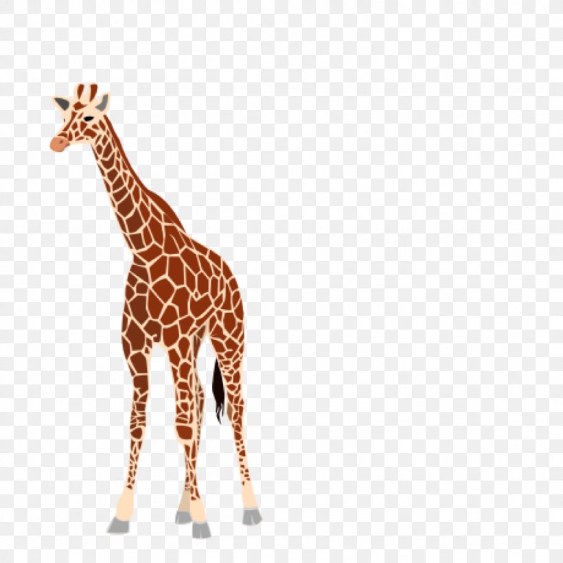 Baby Giraffes Clip Art Image Vector Graphics, PNG, 1024x1024px, Baby Giraffes, Animal Figure, Drawing, Fawn, Giraffe Download Free