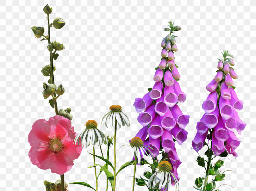 Flower Plant Digitalis Petal Delphinium, PNG, 1280x959px, Flower, Delphinium, Digitalis, Hollyhocks, Mallow Family Download Free