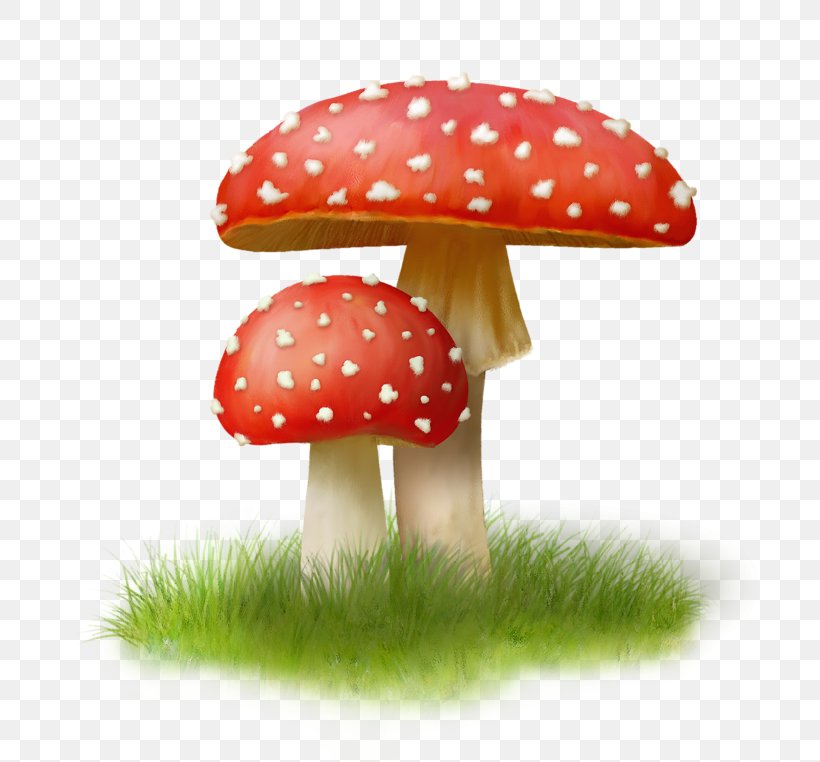 Mushroom Image Fungus Clip Art, PNG, 800x762px, Mushroom, Agaric, Agaricaceae, Agaricomycetes, Agaricus Download Free