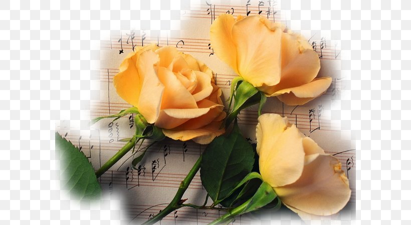 Musical Note Flower Rose Wallpaper, PNG, 600x450px, Watercolor, Cartoon, Flower, Frame, Heart Download Free