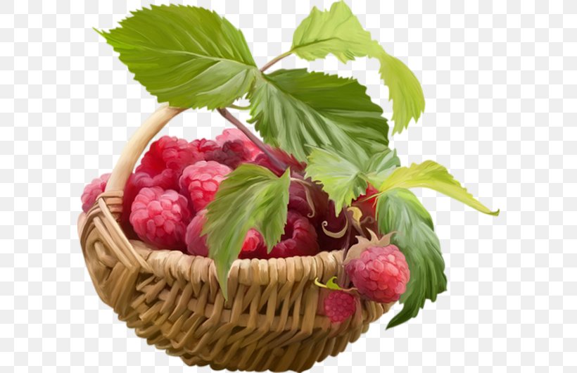 Raspberry Fruit Strawberry Food, PNG, 600x530px, Raspberry, Amora, Amorodo, Auglis, Berry Download Free