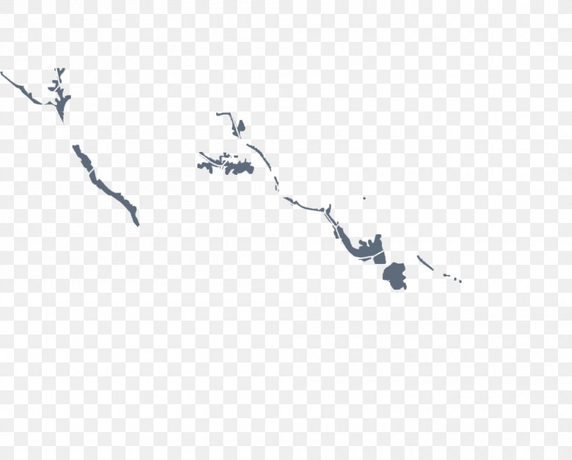 Jocassee Palmetto Conservation Foundation Stumphouse Mountain Tunnel Map, PNG, 1000x805px, Palmetto Conservation Foundation, Area, Branch, Hiking, Map Download Free