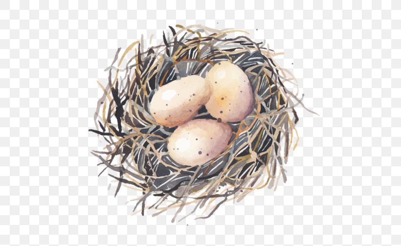 Bird Nest Bird Nest Egg Swallow, PNG, 600x503px, Bird, Bird Egg, Bird Nest, Drawing, Egg Download Free
