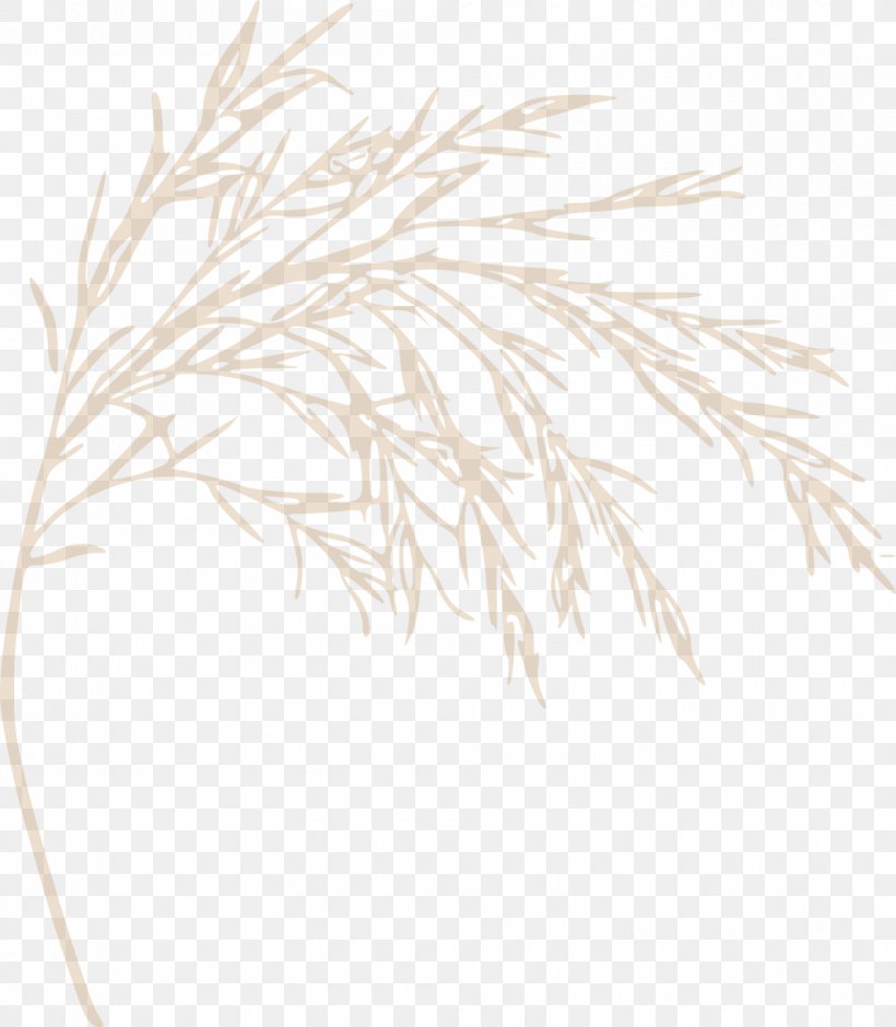 Grasses Line Commodity White Family, PNG, 1010x1158px, Grasses, Black And White, Branch, Commodity, Family Download Free
