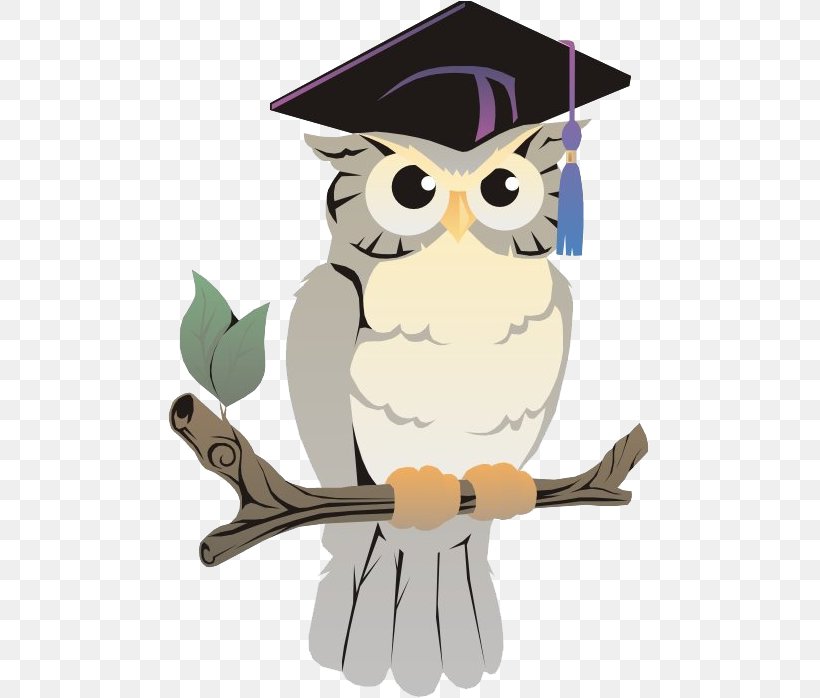 A Wise Old Owl Bedford Public Library System Clip Art, PNG, 485x698px, Owl, Animation, Art, Beak, Bedford Download Free