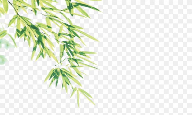 Bamboo Euclidean Vector, PNG, 988x591px, Bamboo, Bamboo Floor, Branch, Chart, Grass Download Free